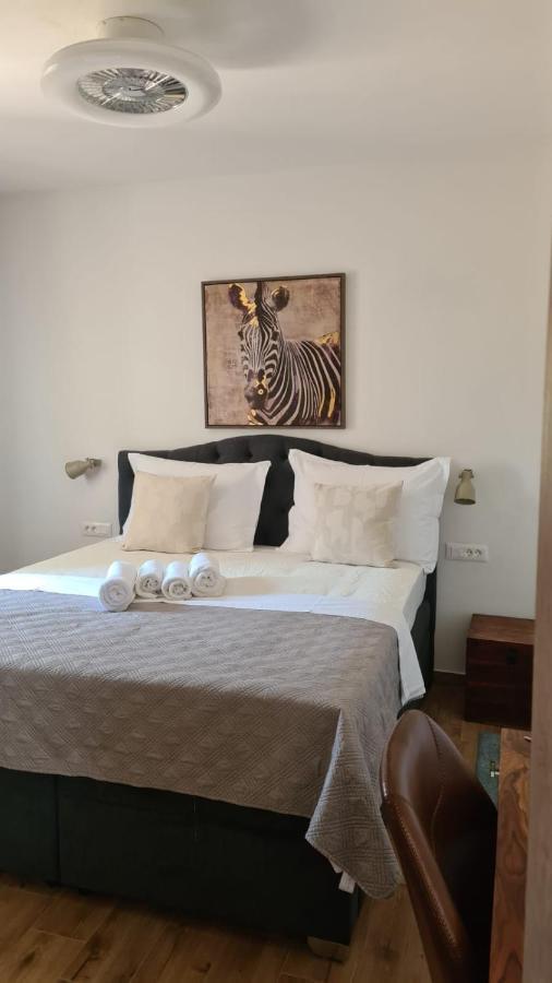 Villa Queen Zadar Dış mekan fotoğraf