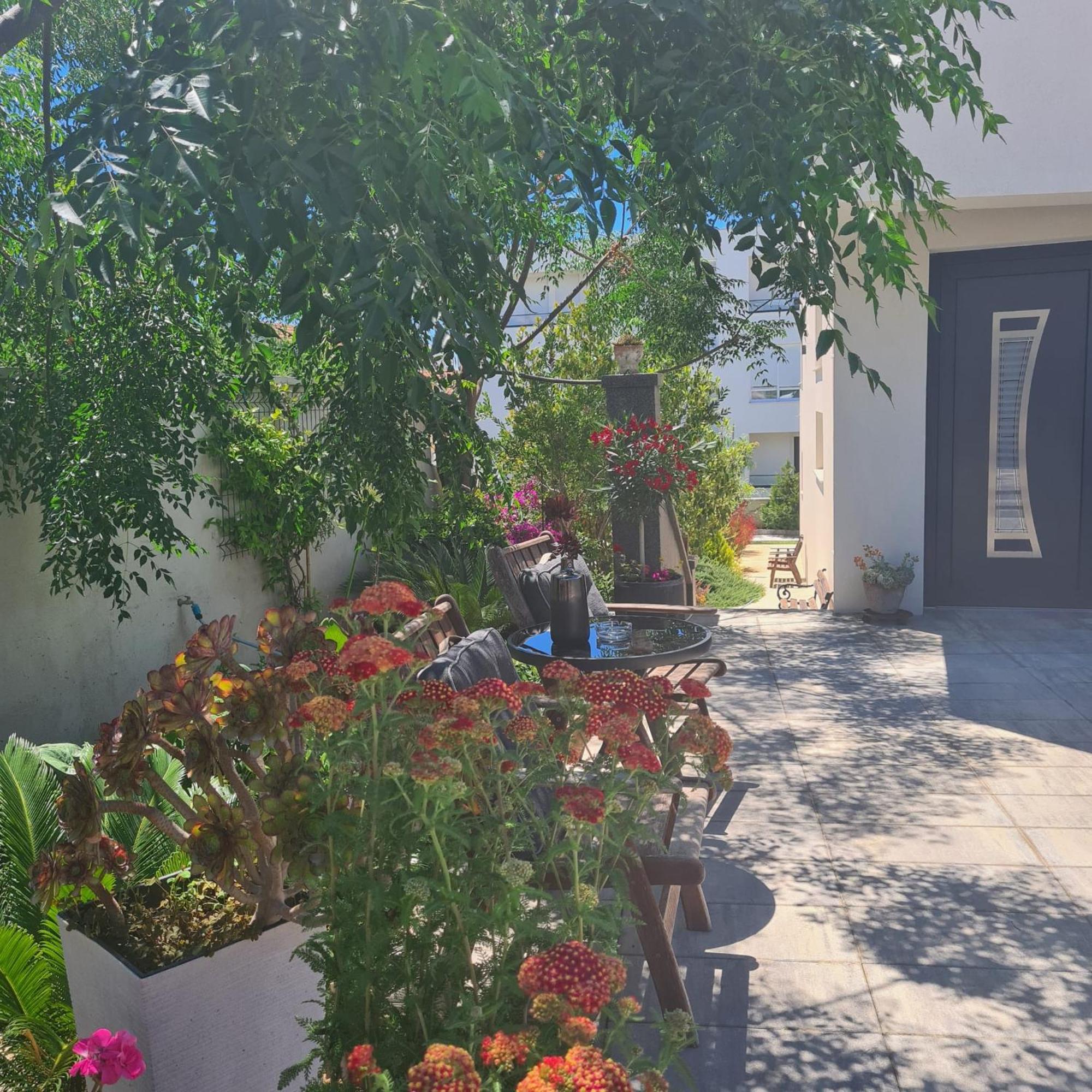 Villa Queen Zadar Dış mekan fotoğraf