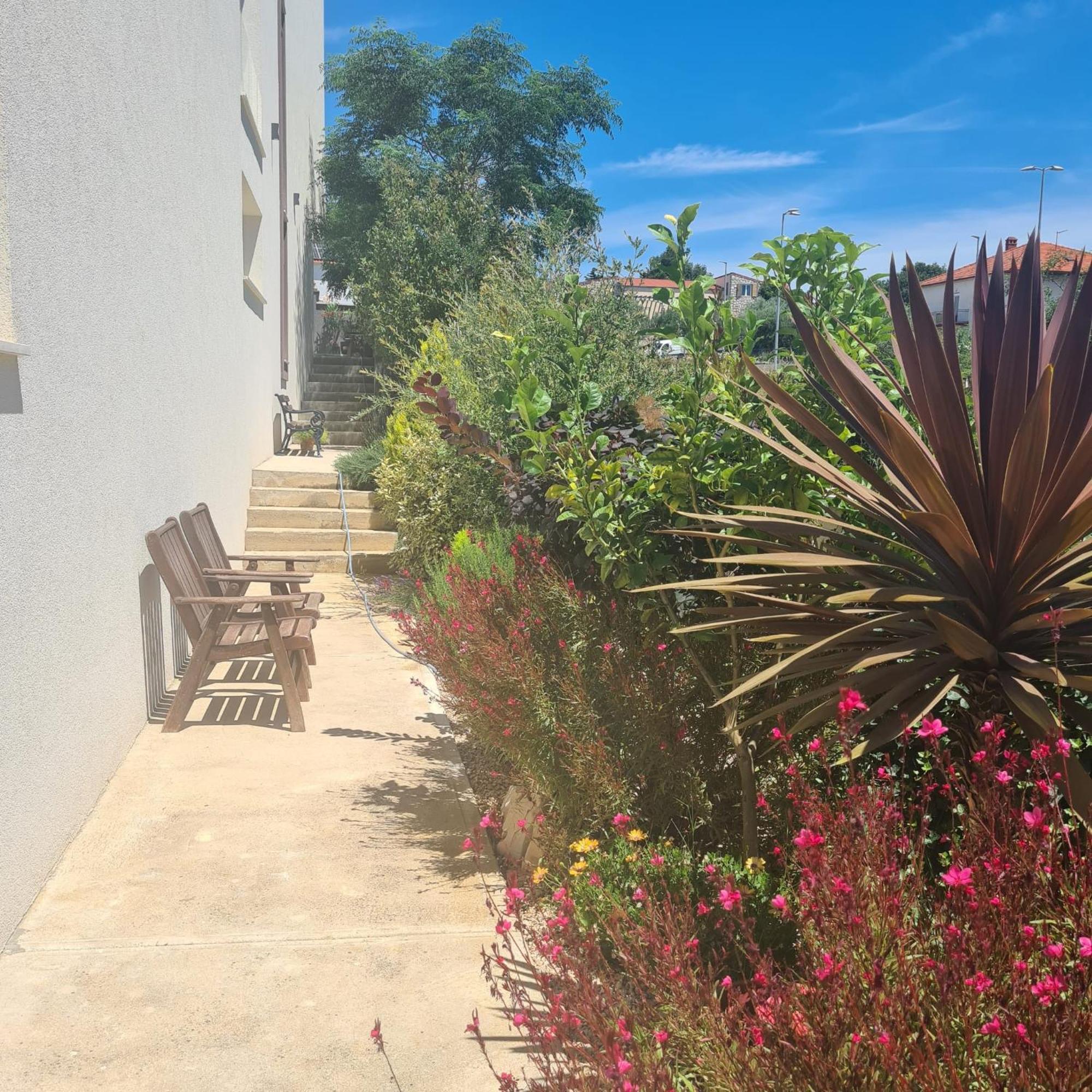 Villa Queen Zadar Dış mekan fotoğraf